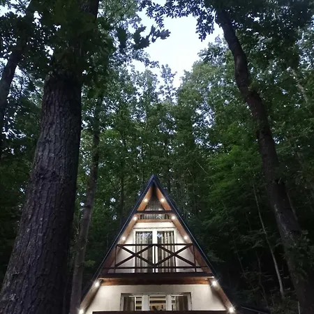 Planinska Ktm Lisine *