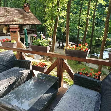 Vilă Planinska Ktm Lisine Despotovac