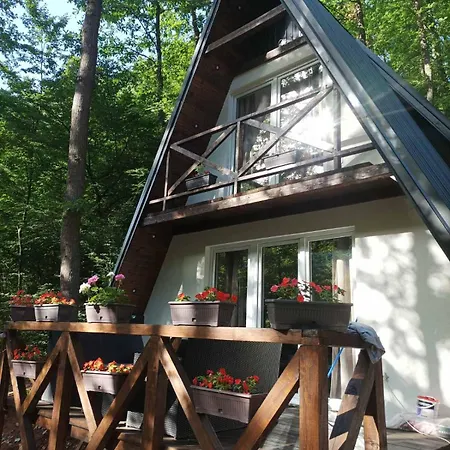 Planinska Ktm Lisine