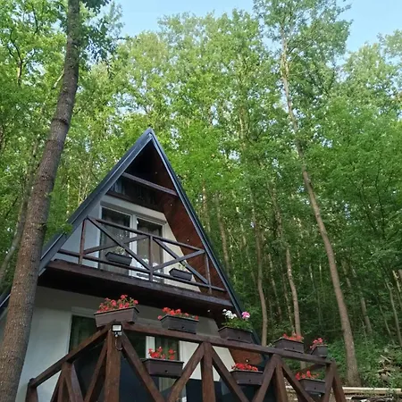 Vilă Planinska Ktm Lisine