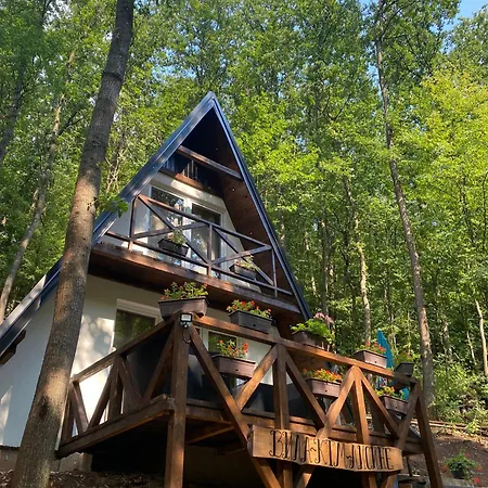 Vilă Planinska Ktm Lisine