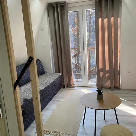 Vilă Planinska Ktm Lisine Despotovac