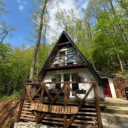 Planinska Ktm Lisine Despotovac