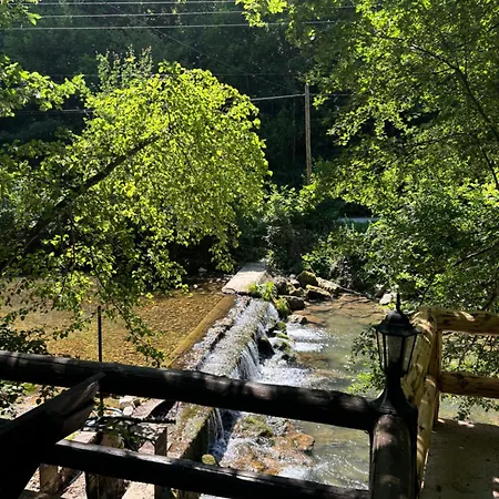 Planinska Ktm Lisine Despotovac