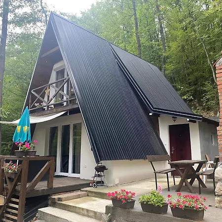 Planinska Ktm Lisine Vilă Despotovac