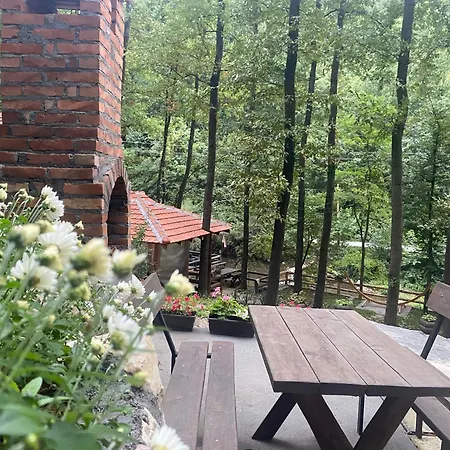 Planinska Ktm Lisine Vilă *