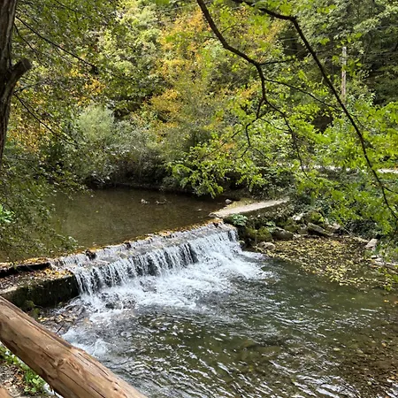 Planinska Ktm Lisine Vilă Despotovac