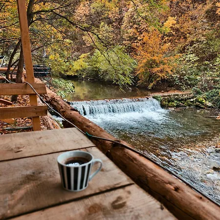 Planinska Ktm Lisine Despotovac