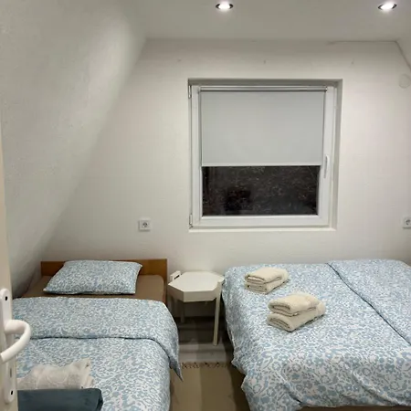 Planinska Ktm Lisine Vilă Despotovac